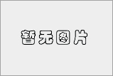 專題報道