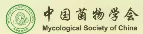 圖片關鍵詞 圖片關鍵詞