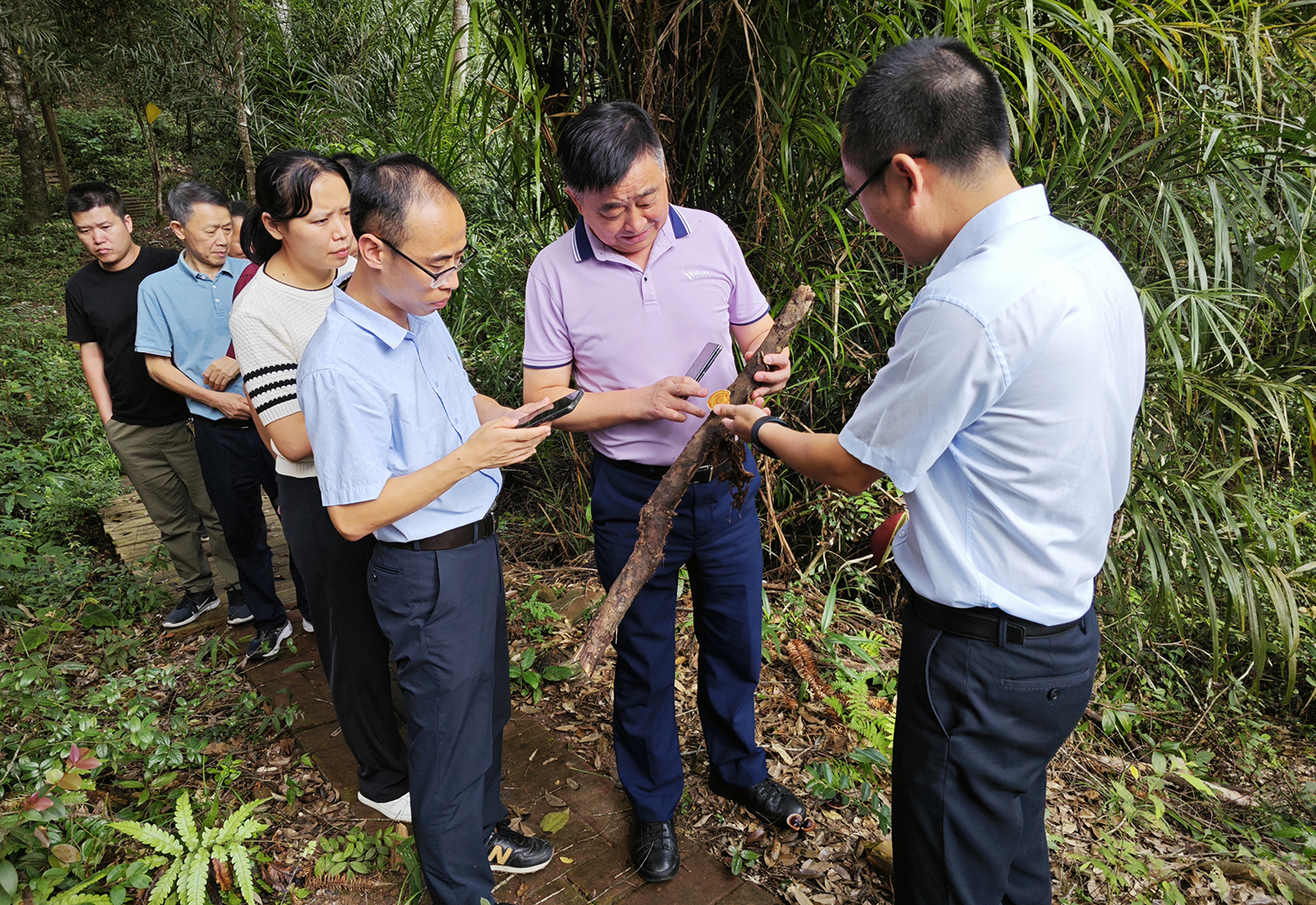 圖片關鍵詞 圖片關鍵詞