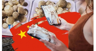 行業動態