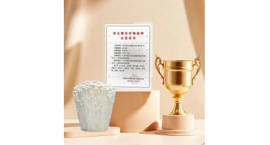 行業動態