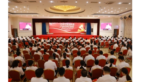 安惠舉辦慶祝建黨105周年主題黨日活動(dòng)